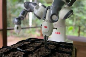 ABB-Cobot hilft bei Wiederaufforstung im Amazonas-Regenwald