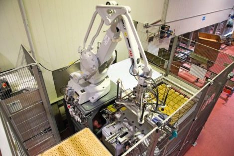 Palettierung: Roboter stapelt Futterschalen