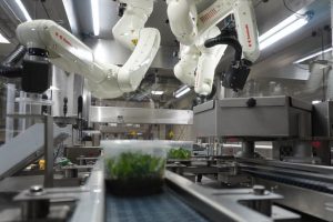 Robocut und der goldene Schnitt: Roboter, KI und Laser revolutionieren die Pflanzenvermehrung